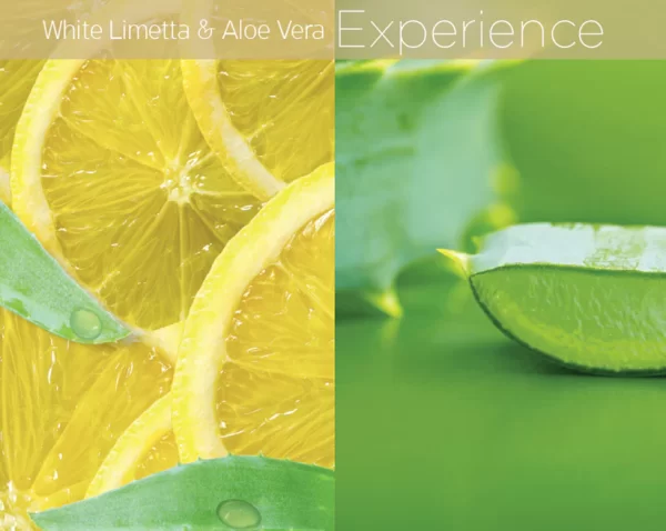 Cuccio White Limetta & Aloe Vera Butter Blend Tube 1