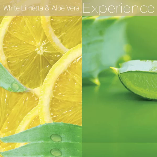White Limetta & Aloe Vera 2x